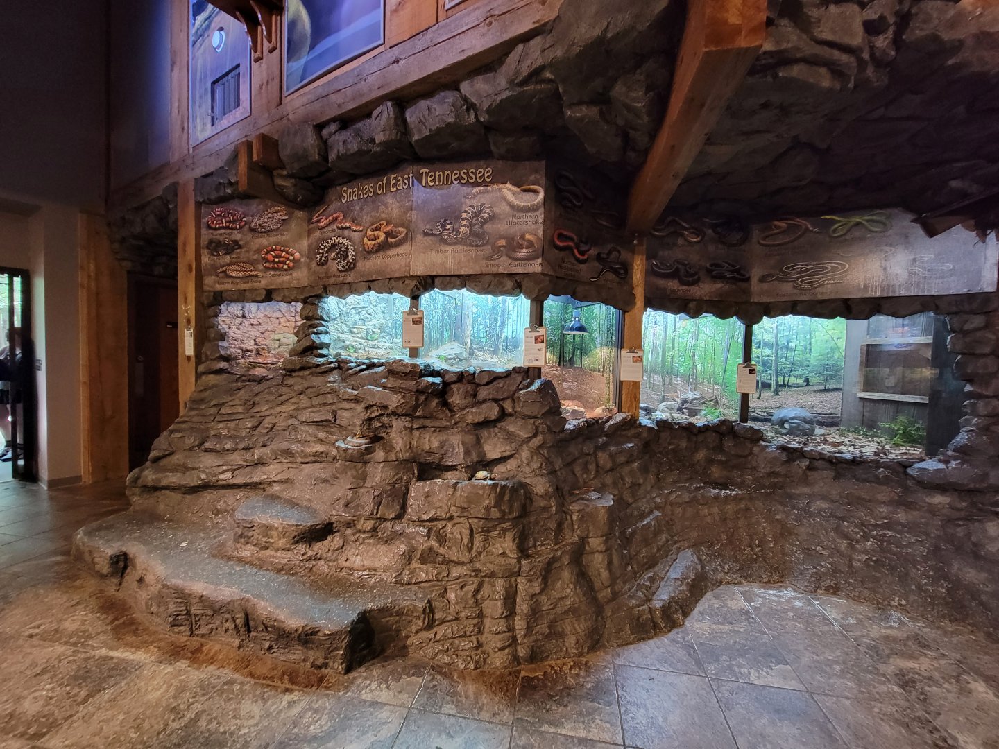 Bays Mountain - Snakes