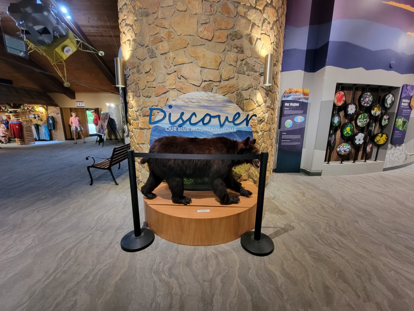 Bays Mountain - Stuffed bear