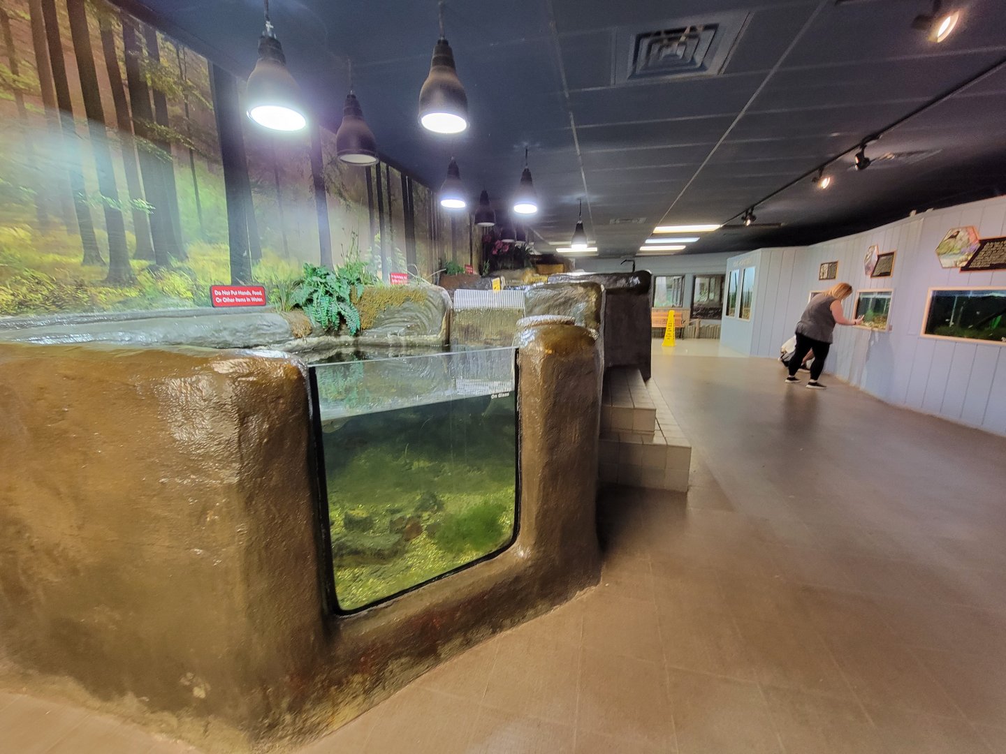 Bays Mountain - Watershed room