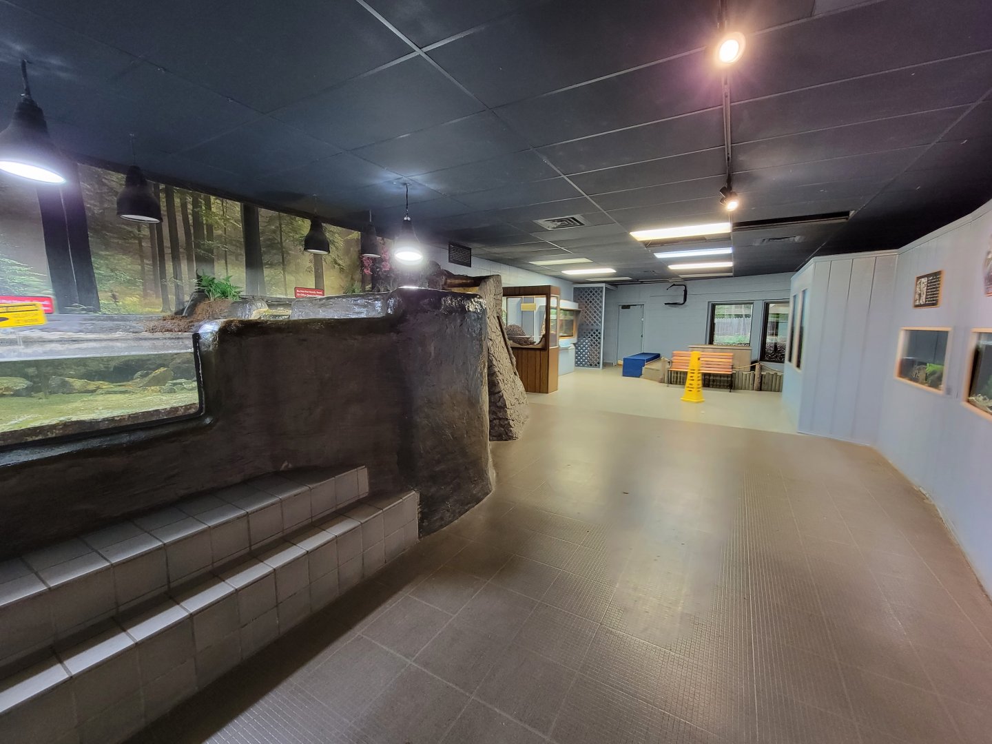 Bays Mountain - Watershed room