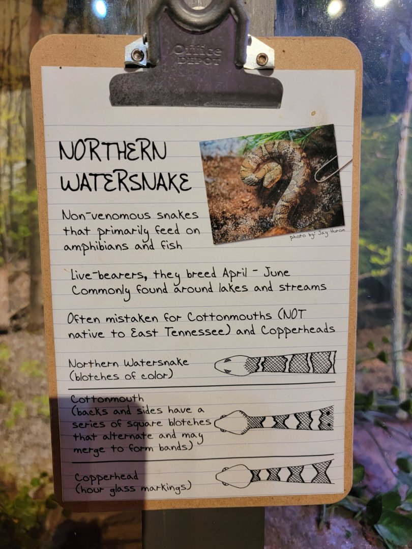 Bays Mountain - Watersnake signage, telling them apart from venomous snakes