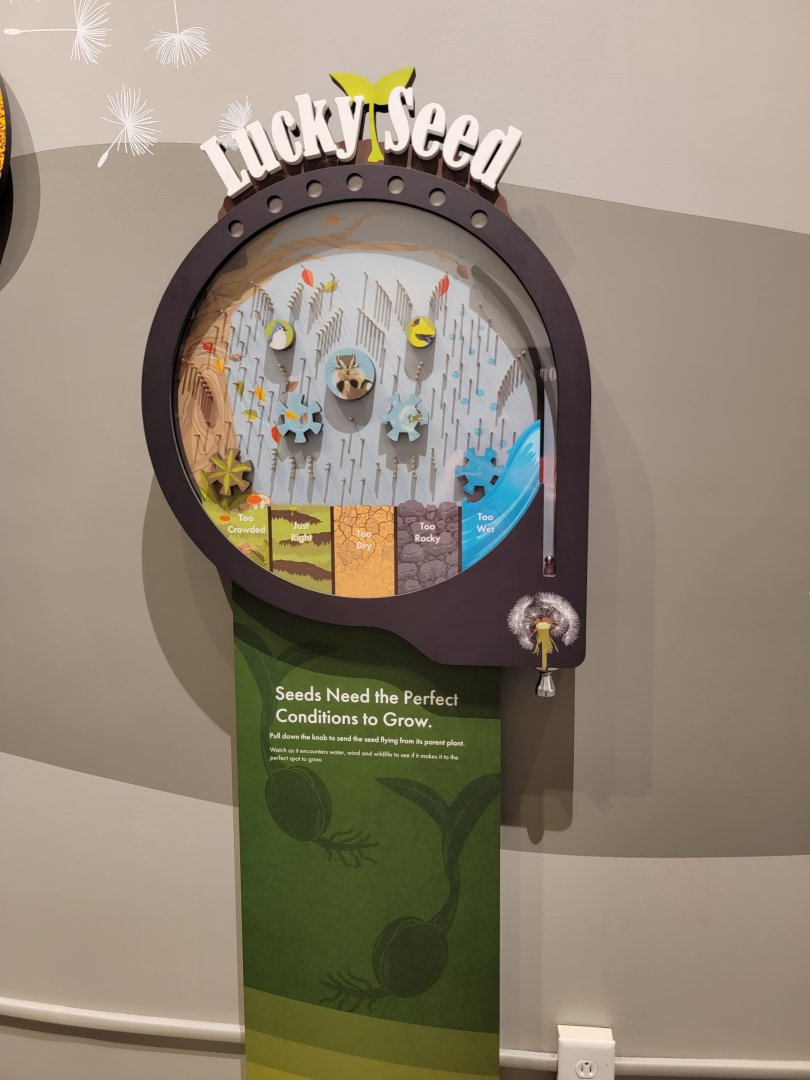 Bays Mountain - Will the seed grow? Game