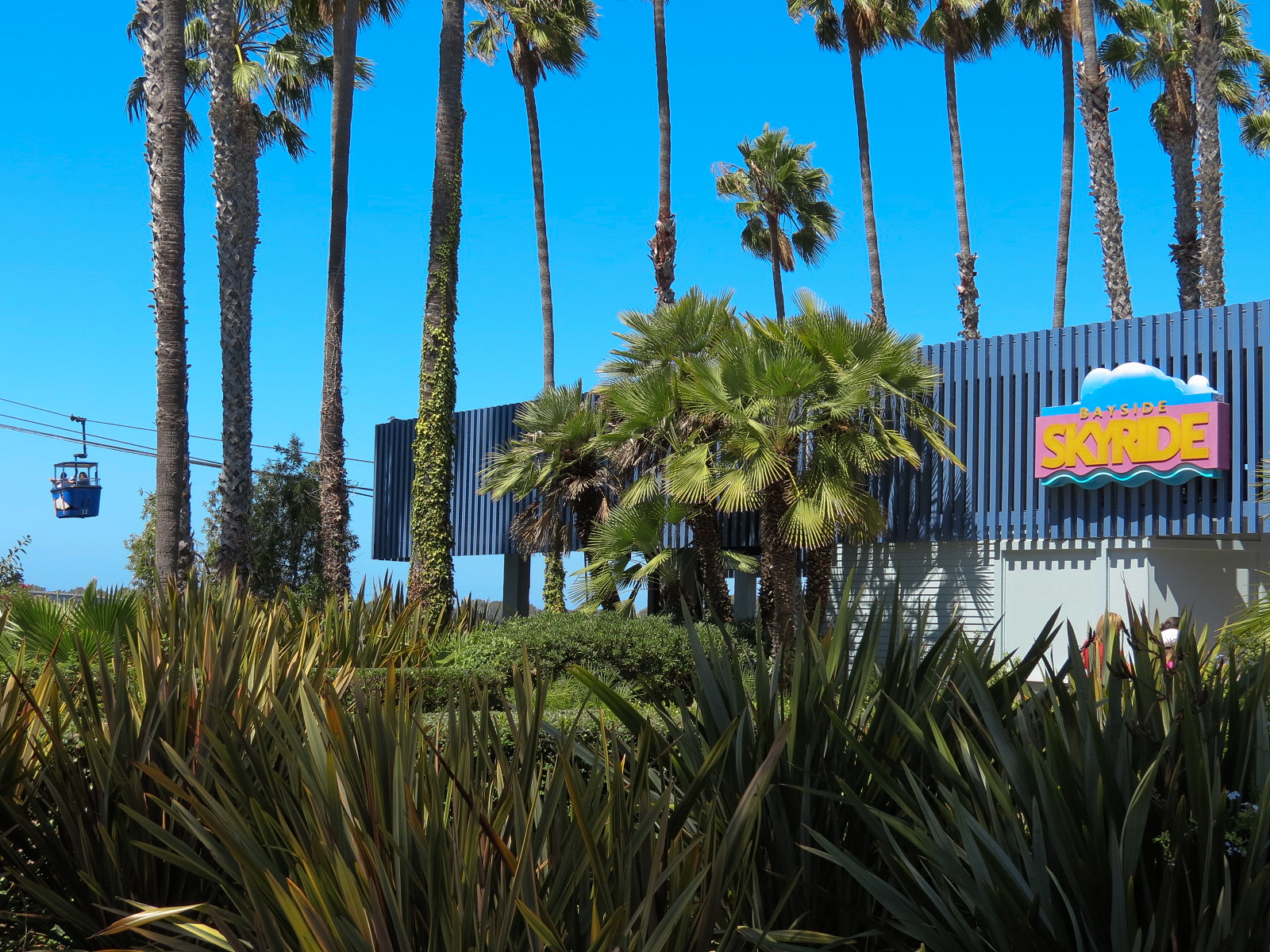 Bayside Skyride