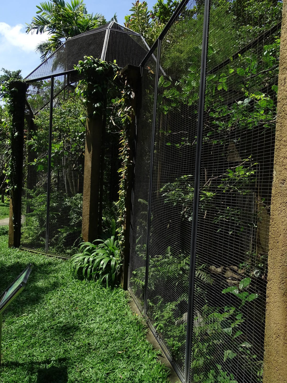 BBP 08/2016: Barbet and kingfisher enclosure