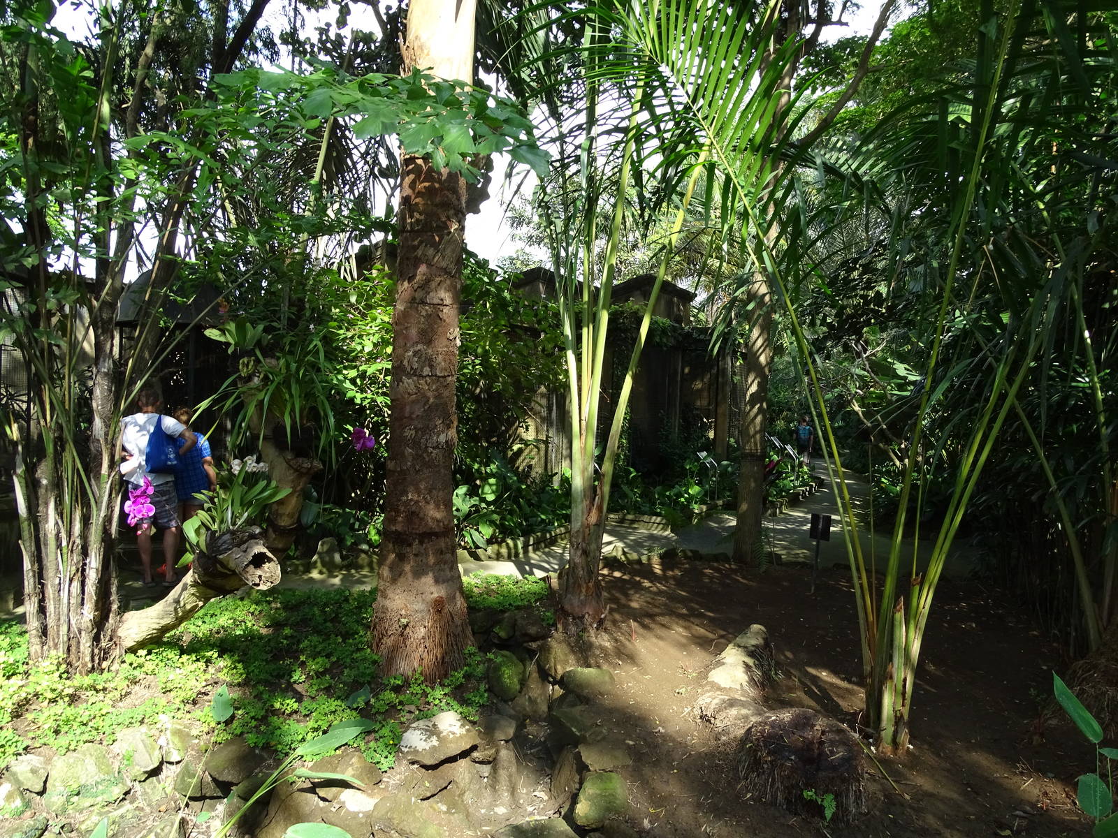 BBP 08/2016: Hornbill enclosures