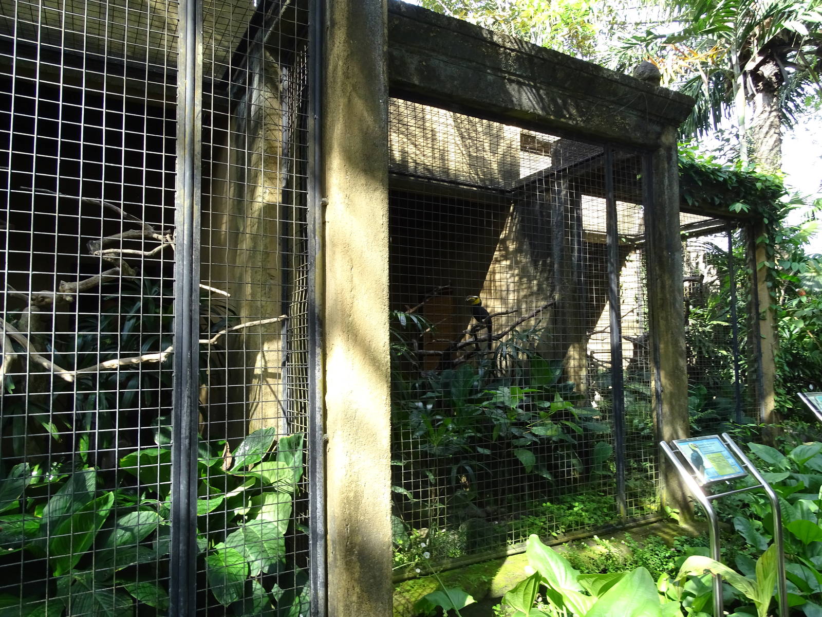 BBP 08/2016: Hornbill enclosures