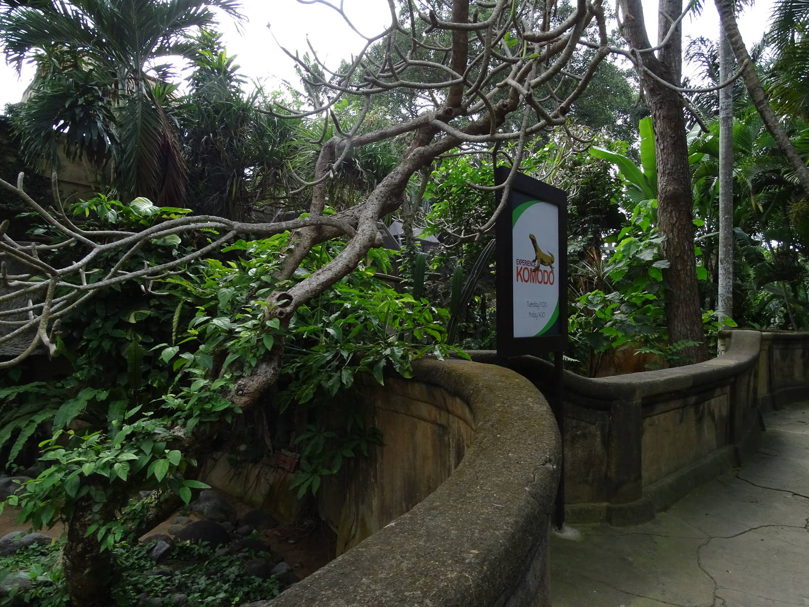 BBP 08/2016: Komodo dragon enclosures