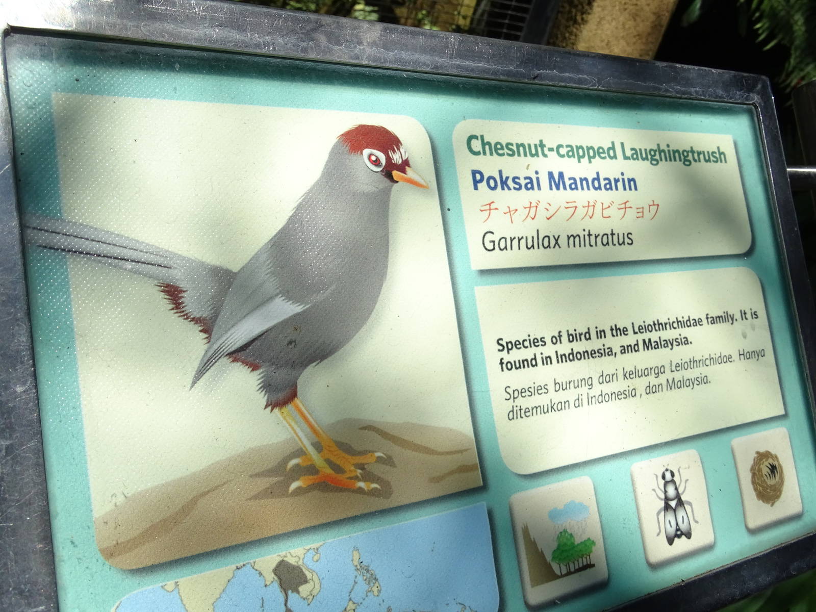 BBP 08/2016: Signage example