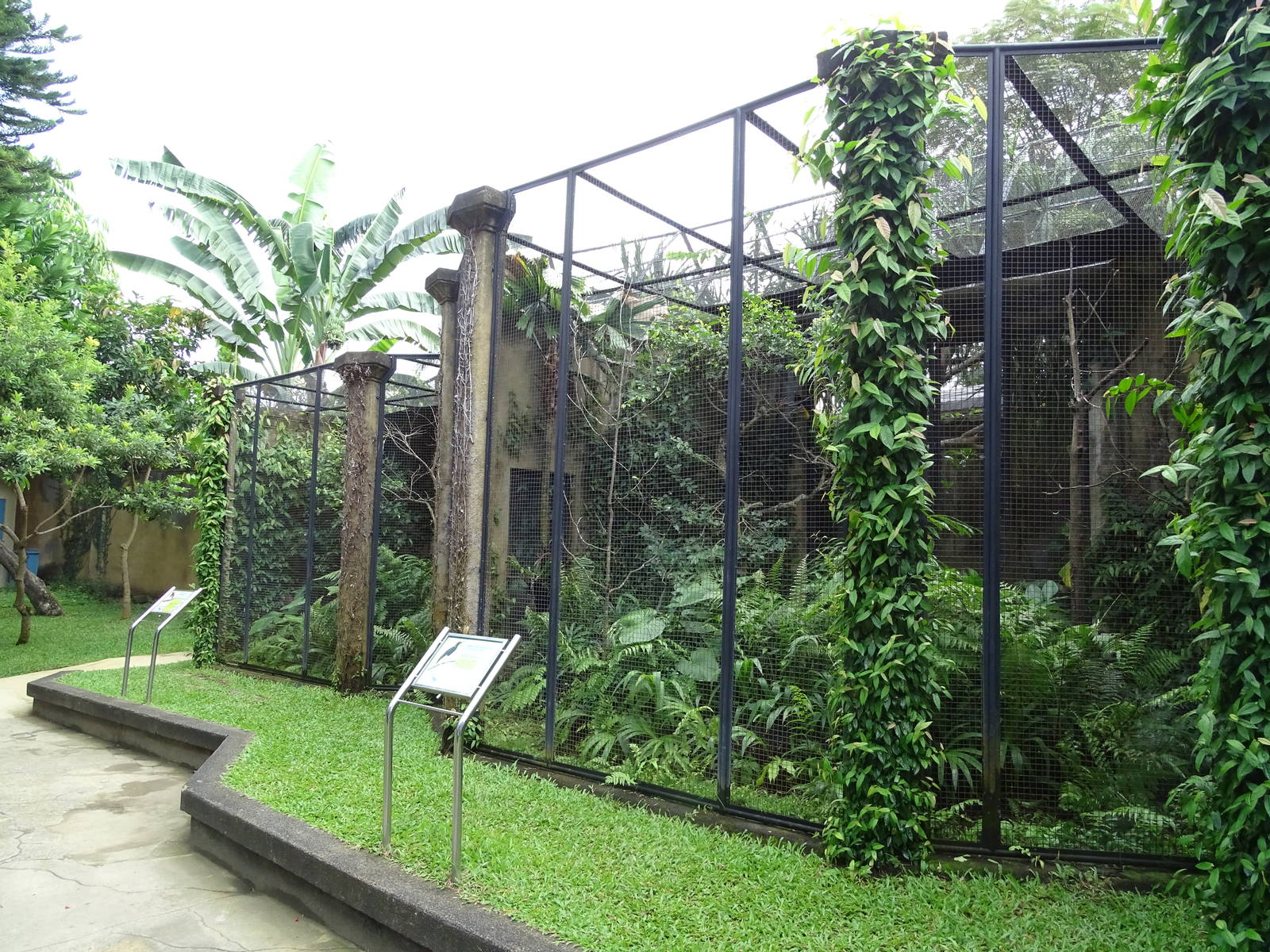 BBP 08/2016: Two of the Bird of Paradise aviaries
