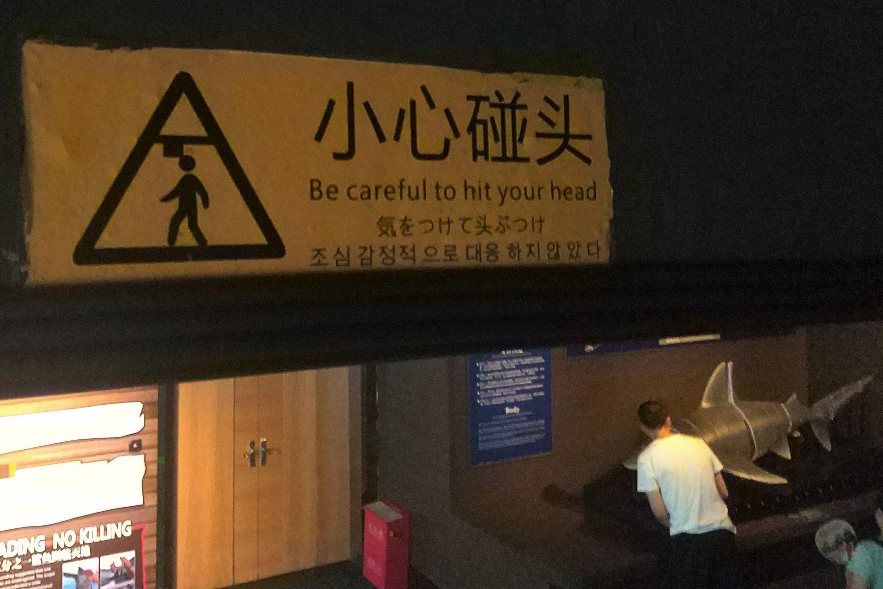 Be Careful To Hit Your Head