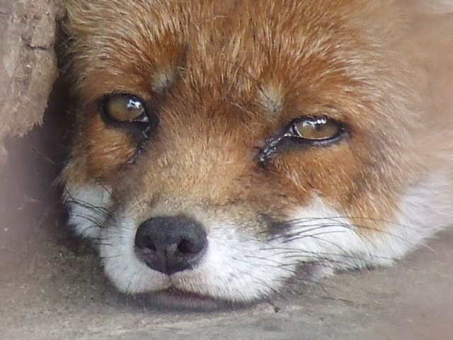 ... be depressed ...