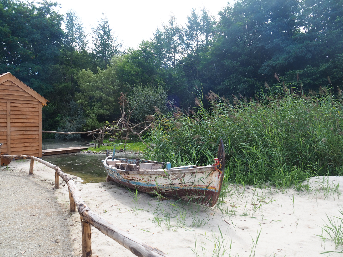Beach area and Lac Alaotra bamboo lemur island, 2019-08-11