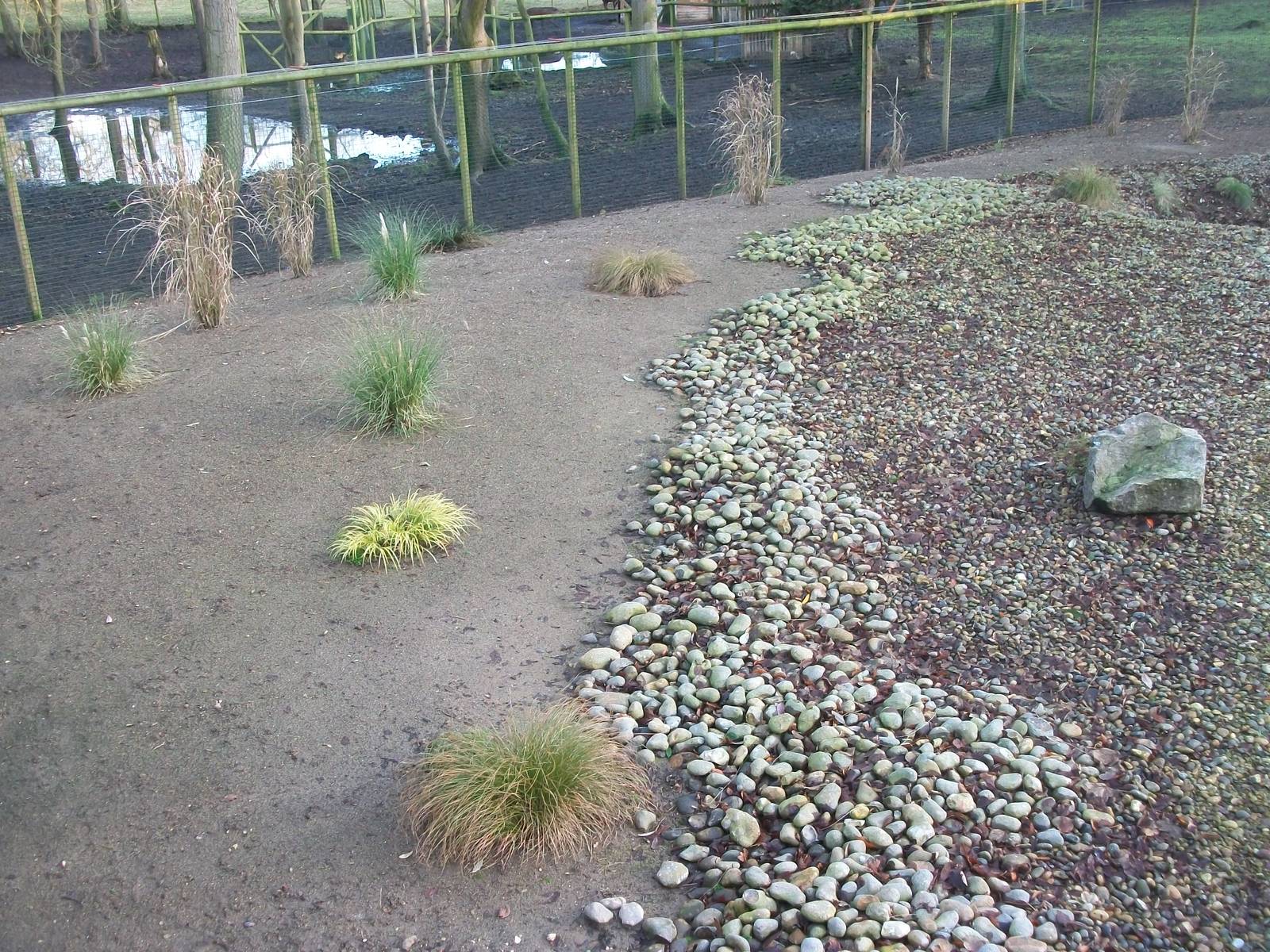 Beach area in Penguin exhibit 4th January 2013