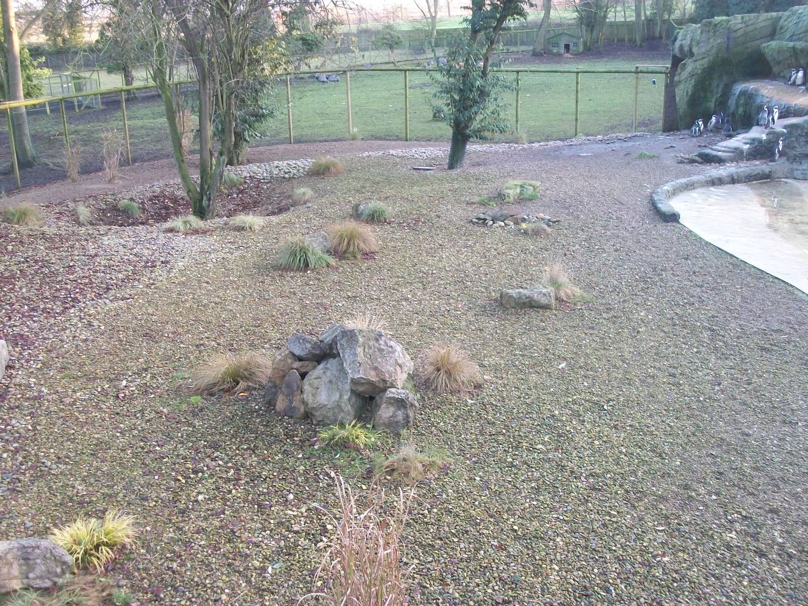Beach area in Penguin exhibit 4th January 2013