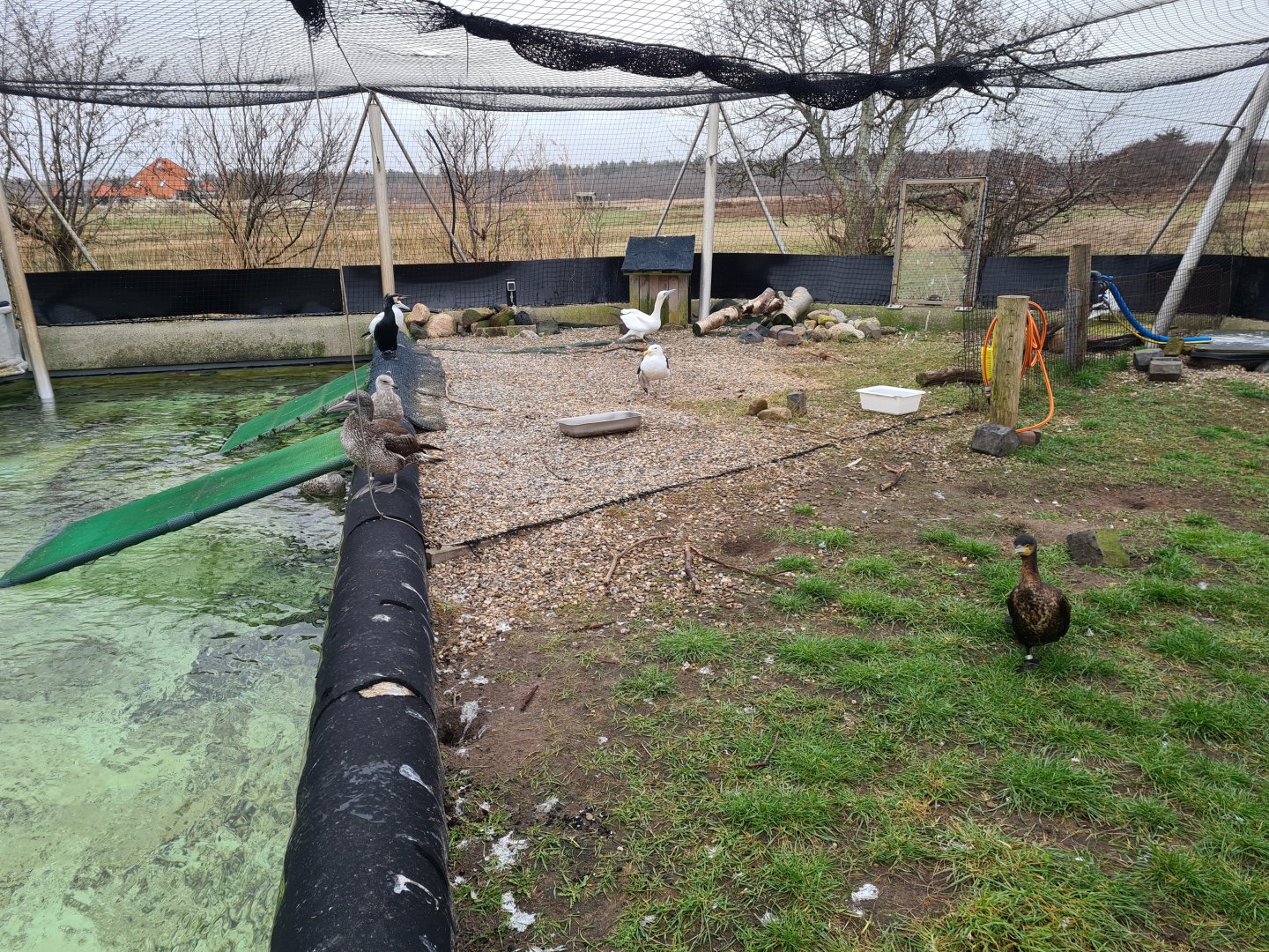 Beach area in Seabird recovery aviary
