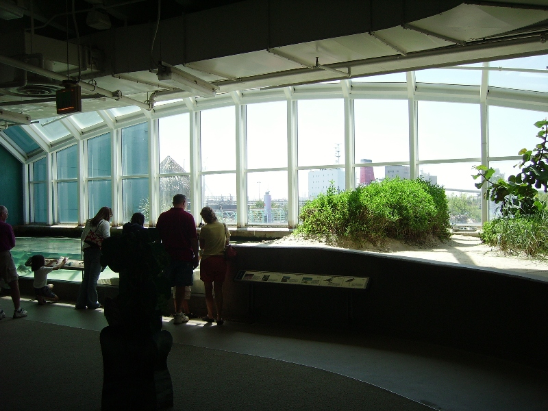 Beach Display - Bays and Beaches