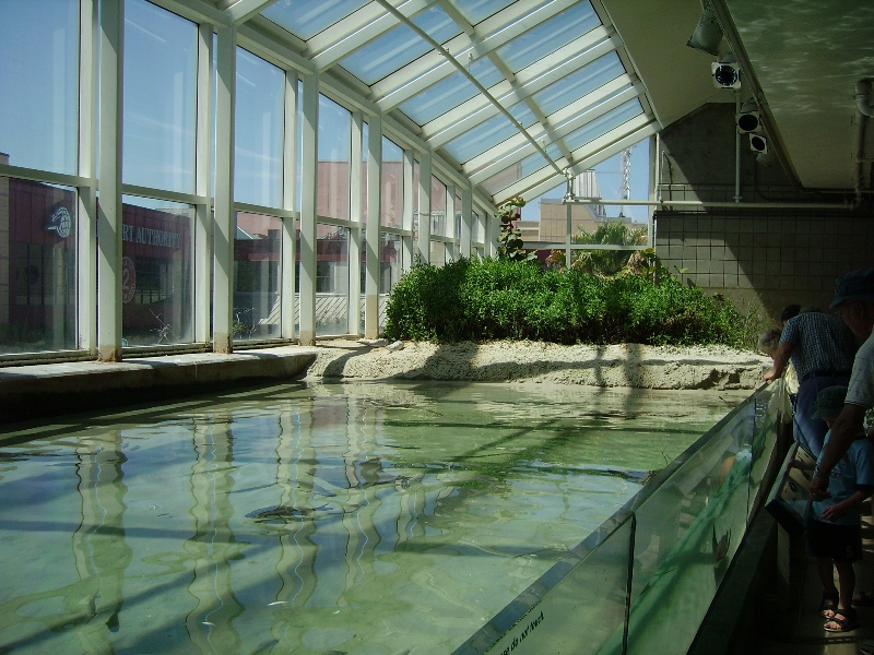 Beach Display - Bays and Beaches