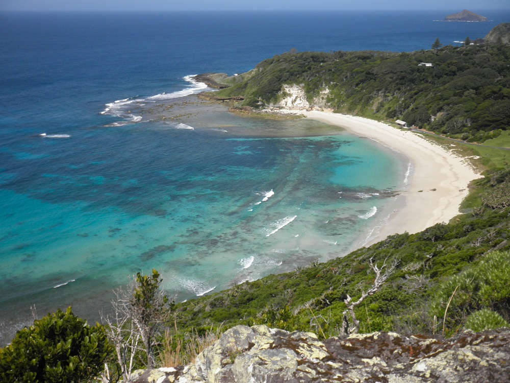 Beach - Lord Howe Island