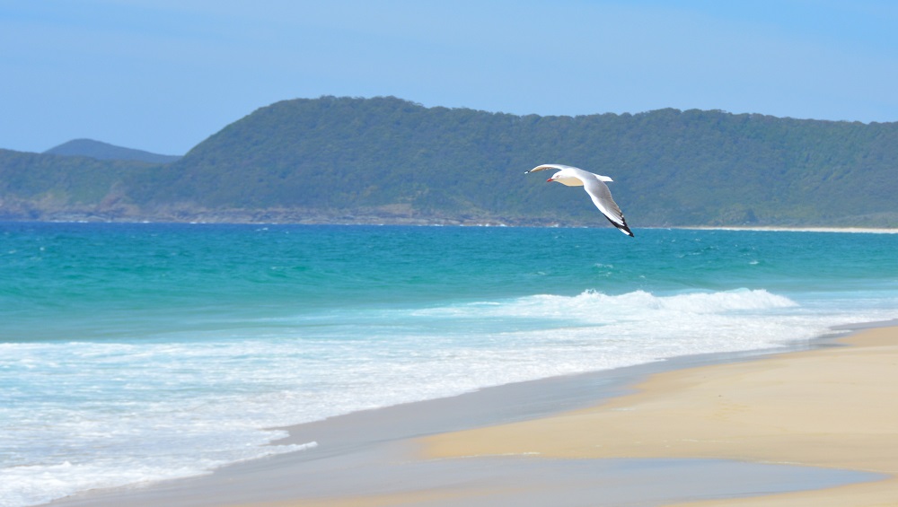 Beach near Forster, NSW