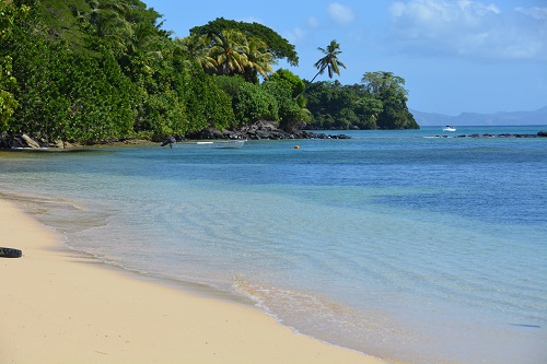 Beach scene, Taveuni island, Fiji