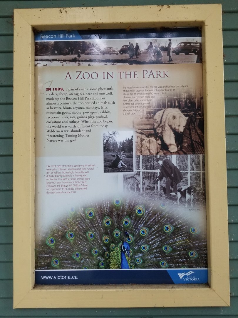 Beacon Hill Park Zoo
