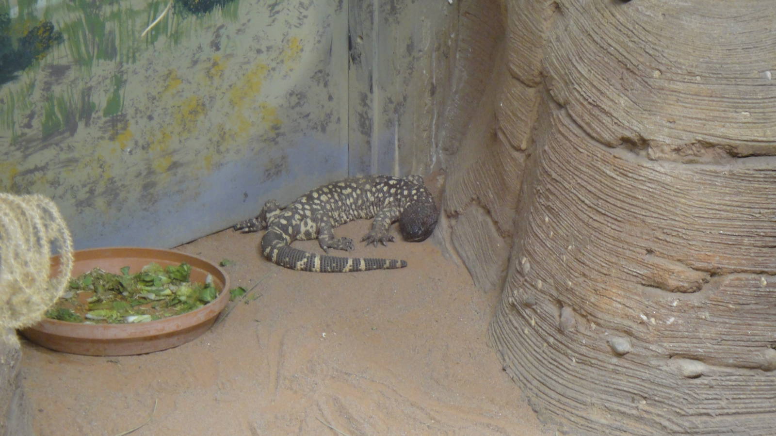 Beaded lizard at Philadelphia zoo 2015-03-08