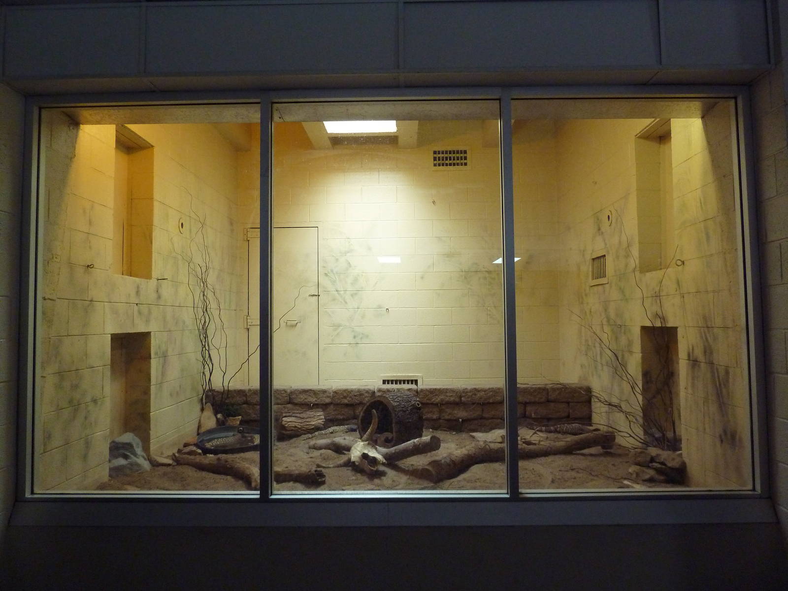 Beaded Lizard Exhibit