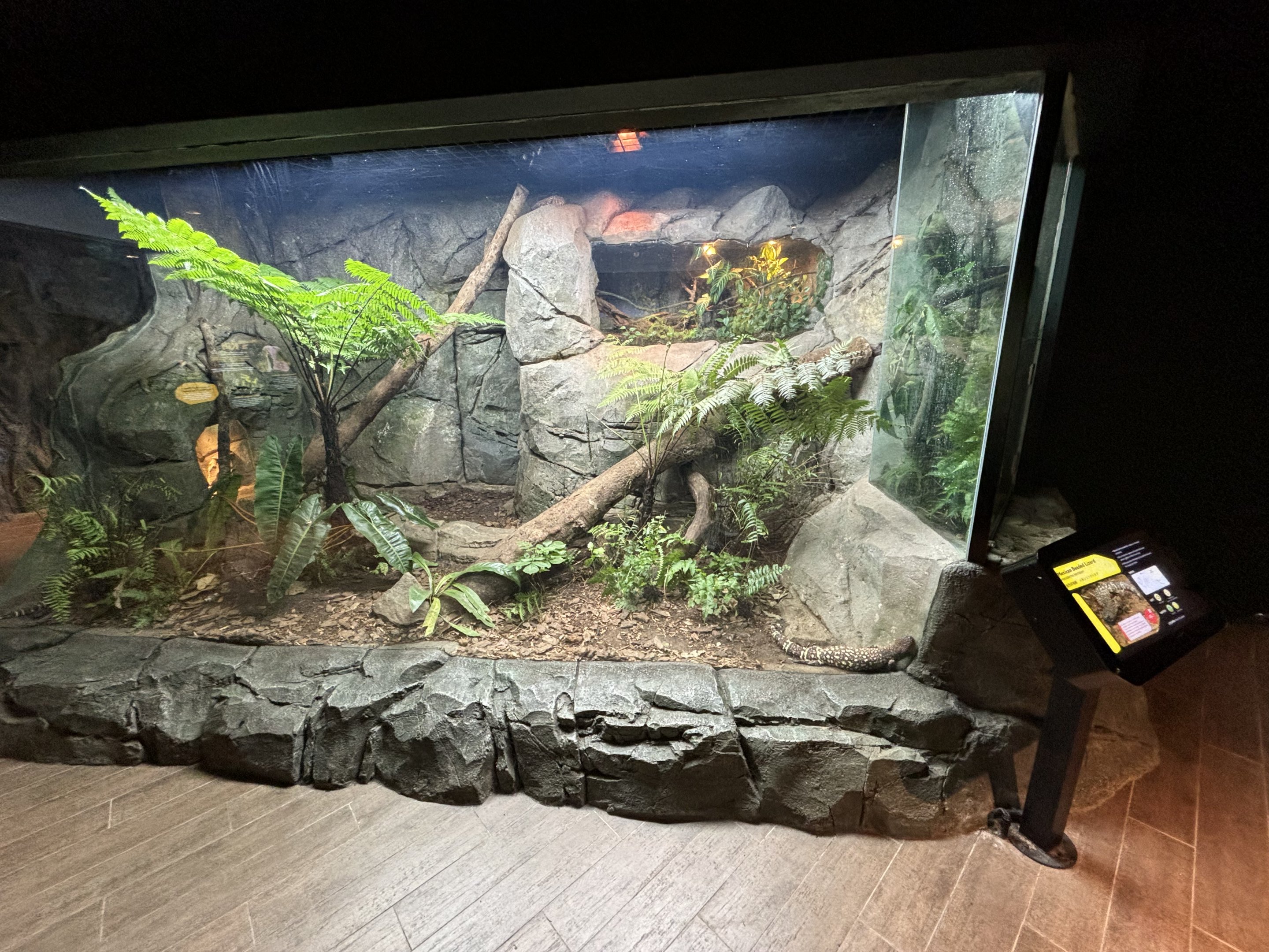 Beaded Lizard Exhibit