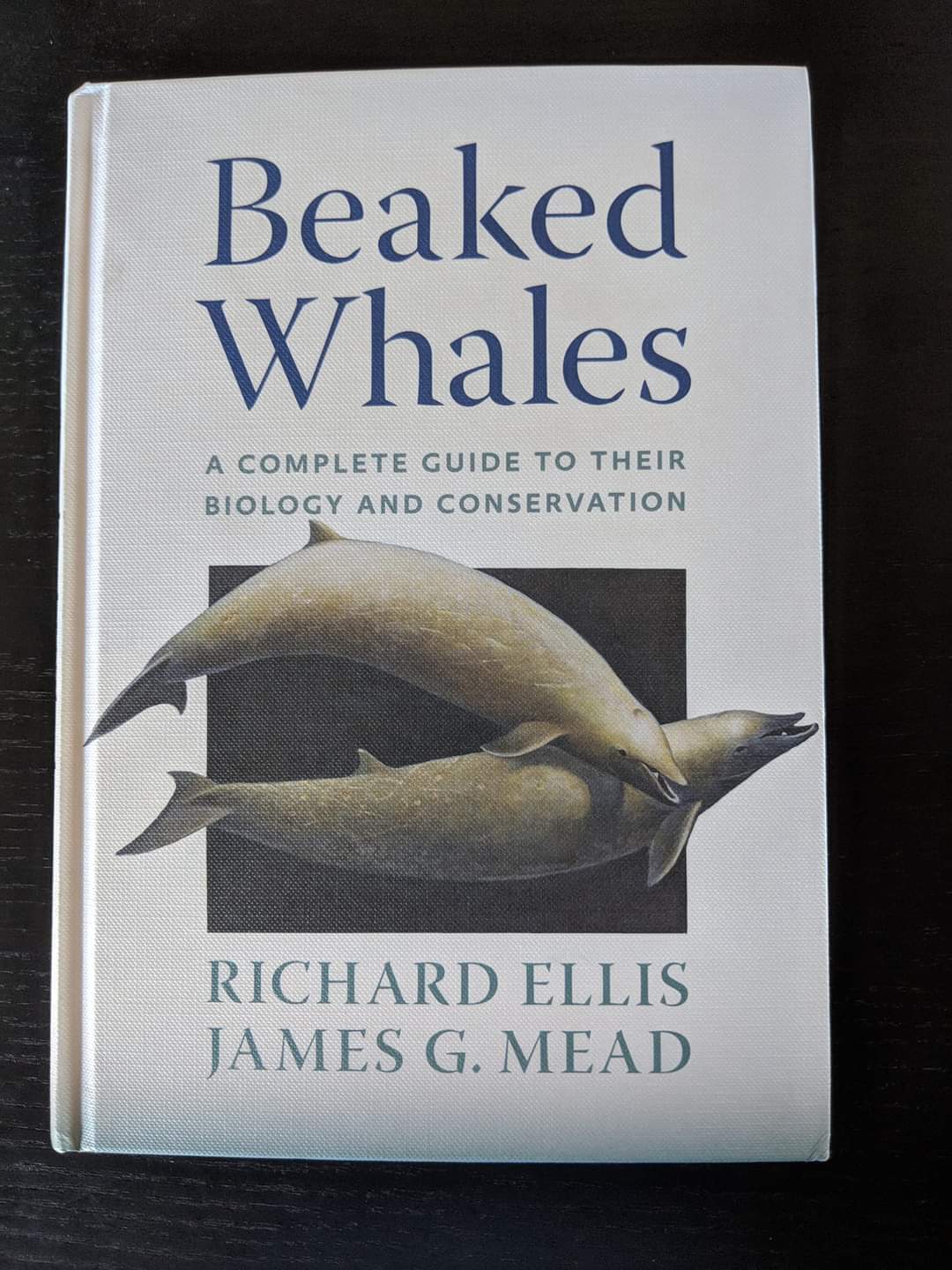 Beaked Whales: A Complete Guide to their Biology and Conservation