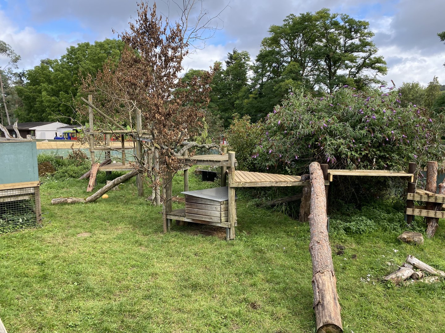 Beale park arctic fox enclosure
