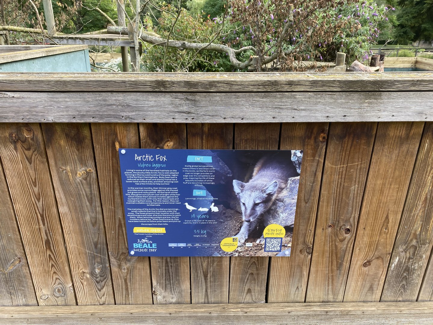 Beale park arctic fox signage