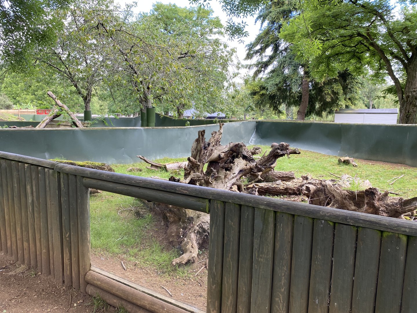 Beale park red footed tortoise enclosure