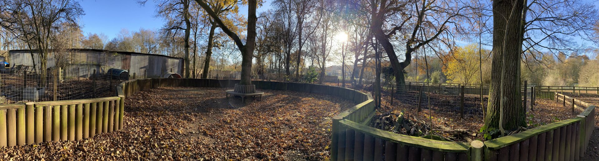 Beale park Wild Boar enclosure (panoramic)