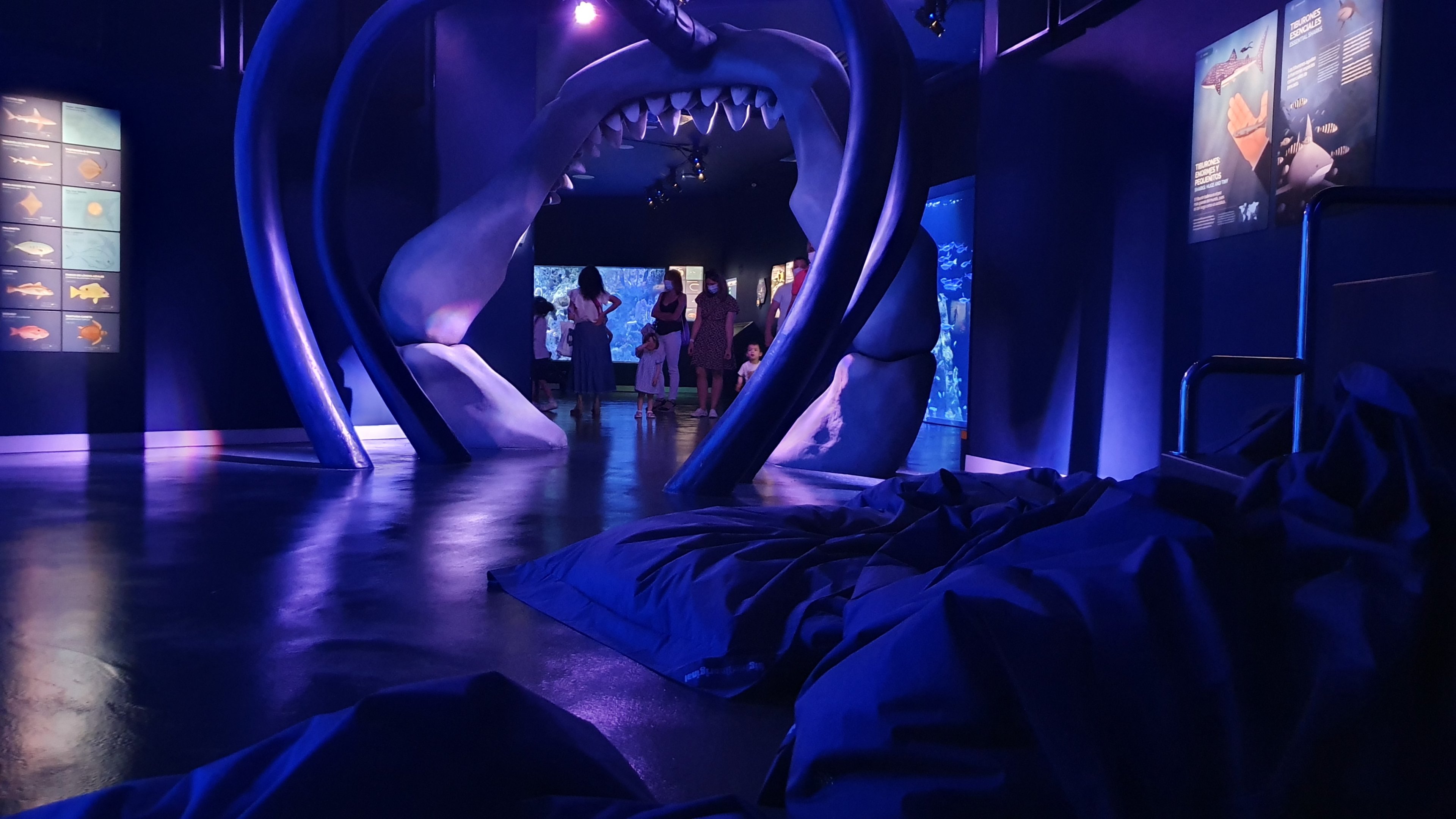 Bean Bag Seating for Main Tank at Atlantis Aquarium Madrid, 20th May 2022