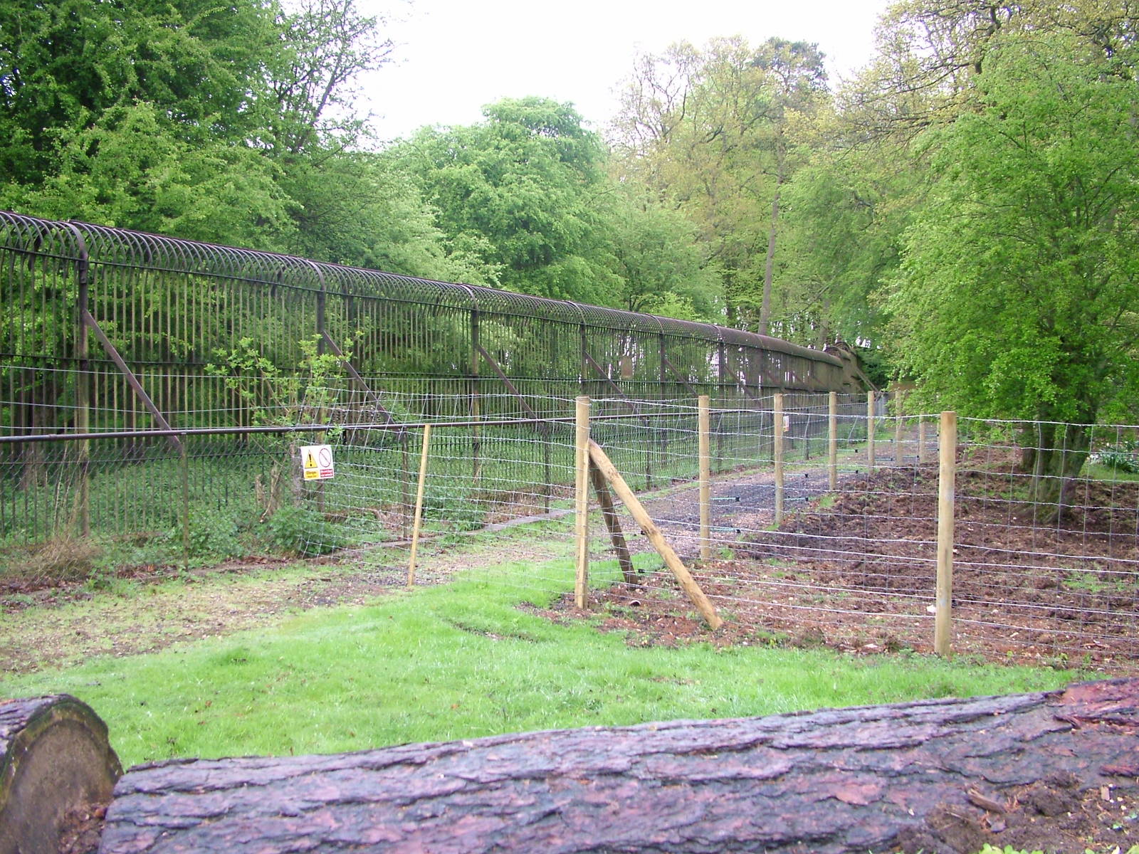 Bear and Boar exhibits at Whipsnade 08/05/10
