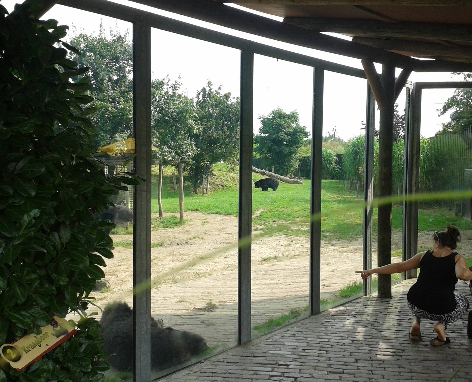 Bear and fox enclosure