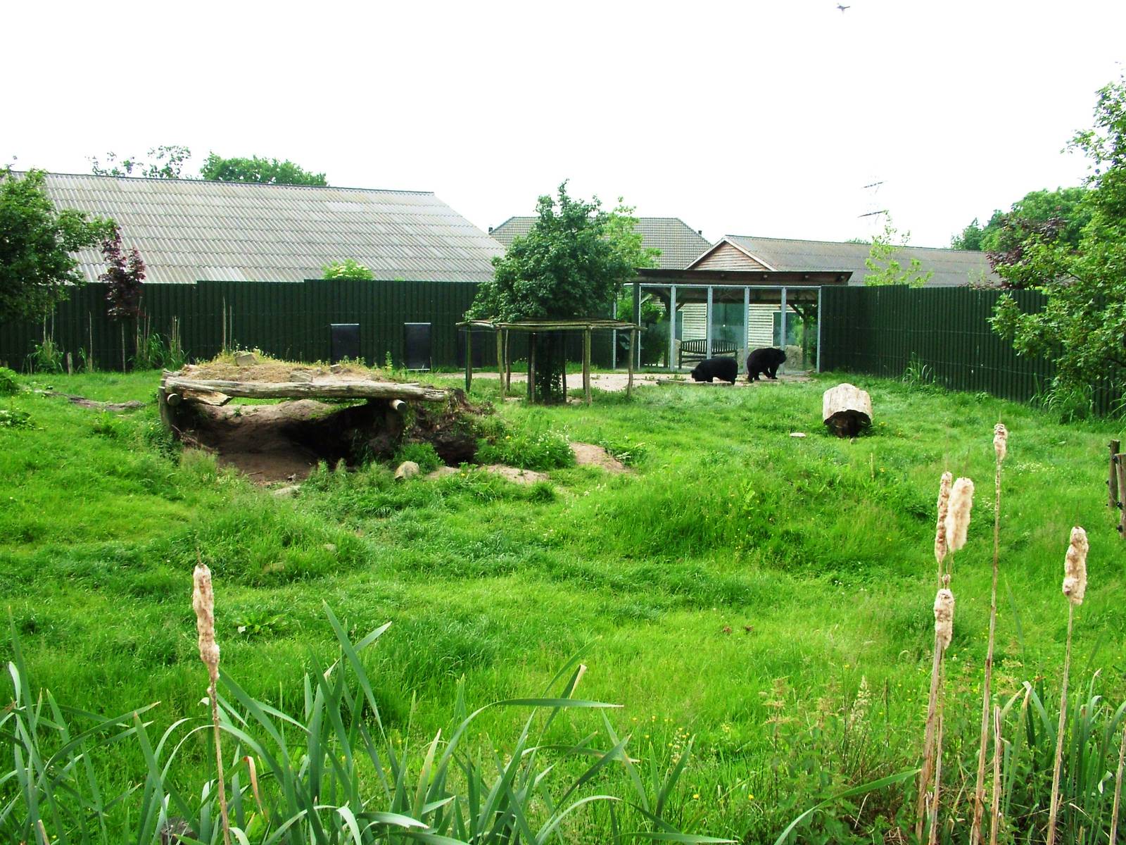 Bear and Fox Exhibit at Dierenrijk, 31/05/12
