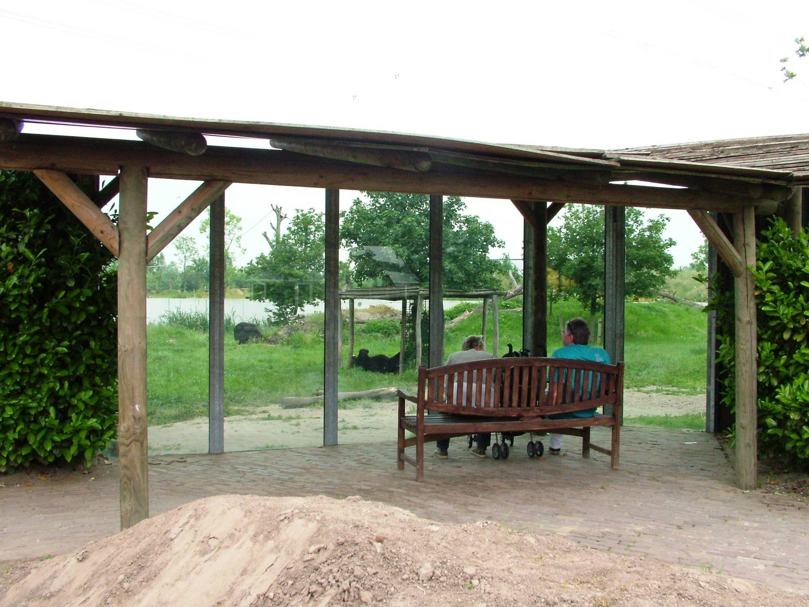 Bear and Fox Viewing at Dierenrijk, 31/05/12