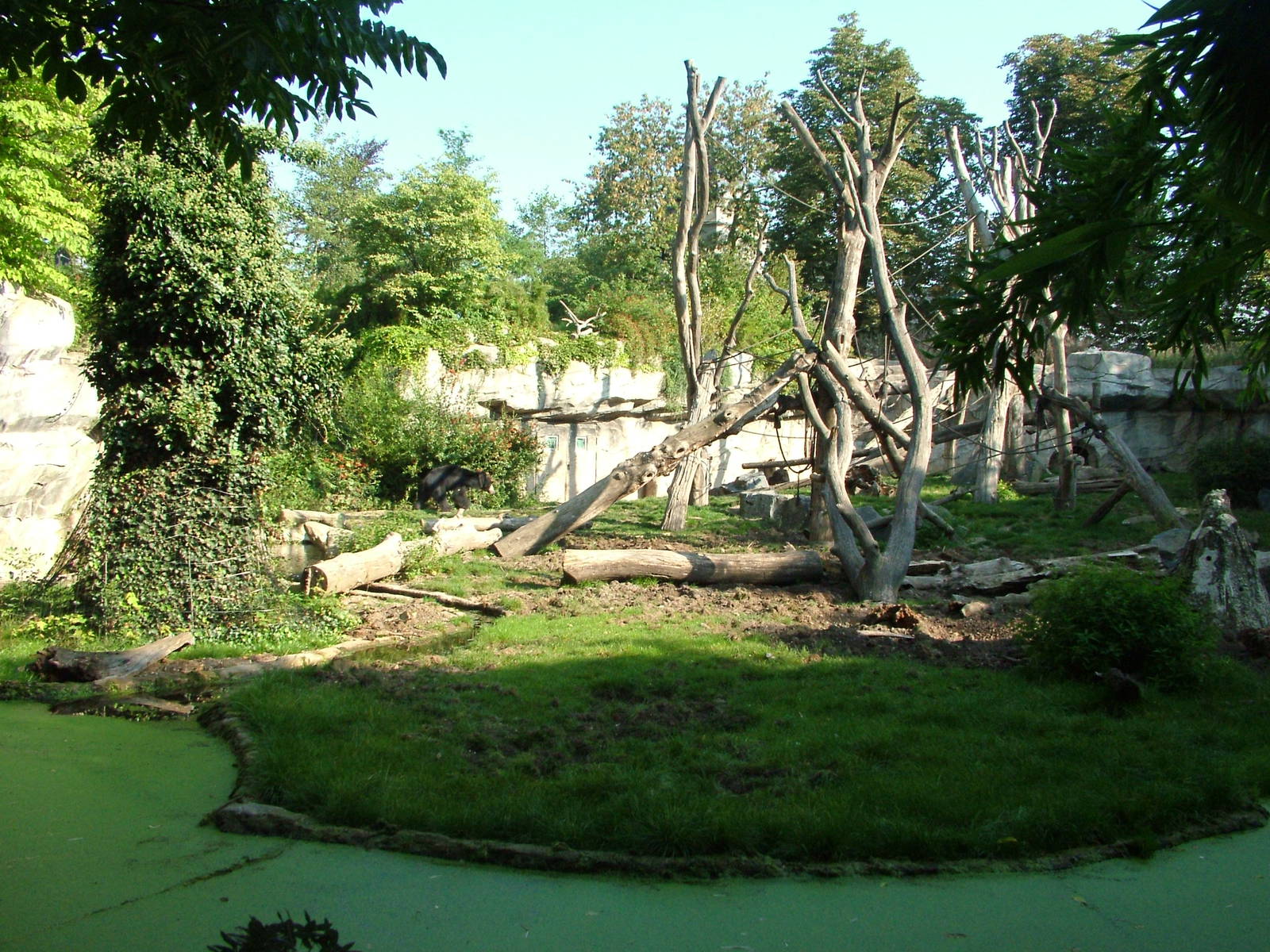 Bear and Macaque Exhibit at Leipzig, 02/09/11
