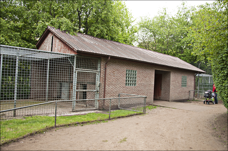 Bear and tiger house at Thüle