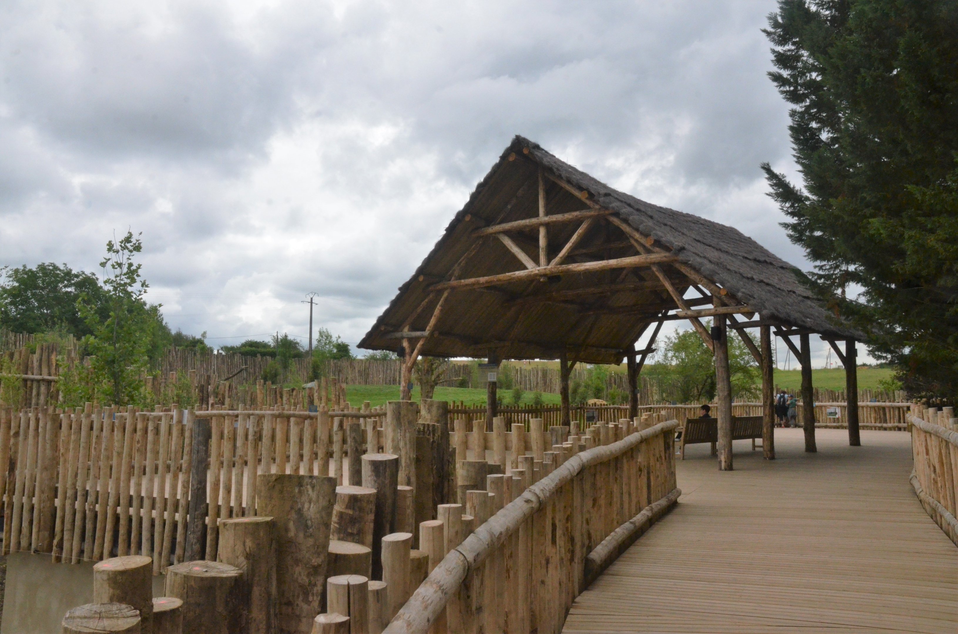 Bear and Wolf Viewing Area at Beauval, 12/06/18