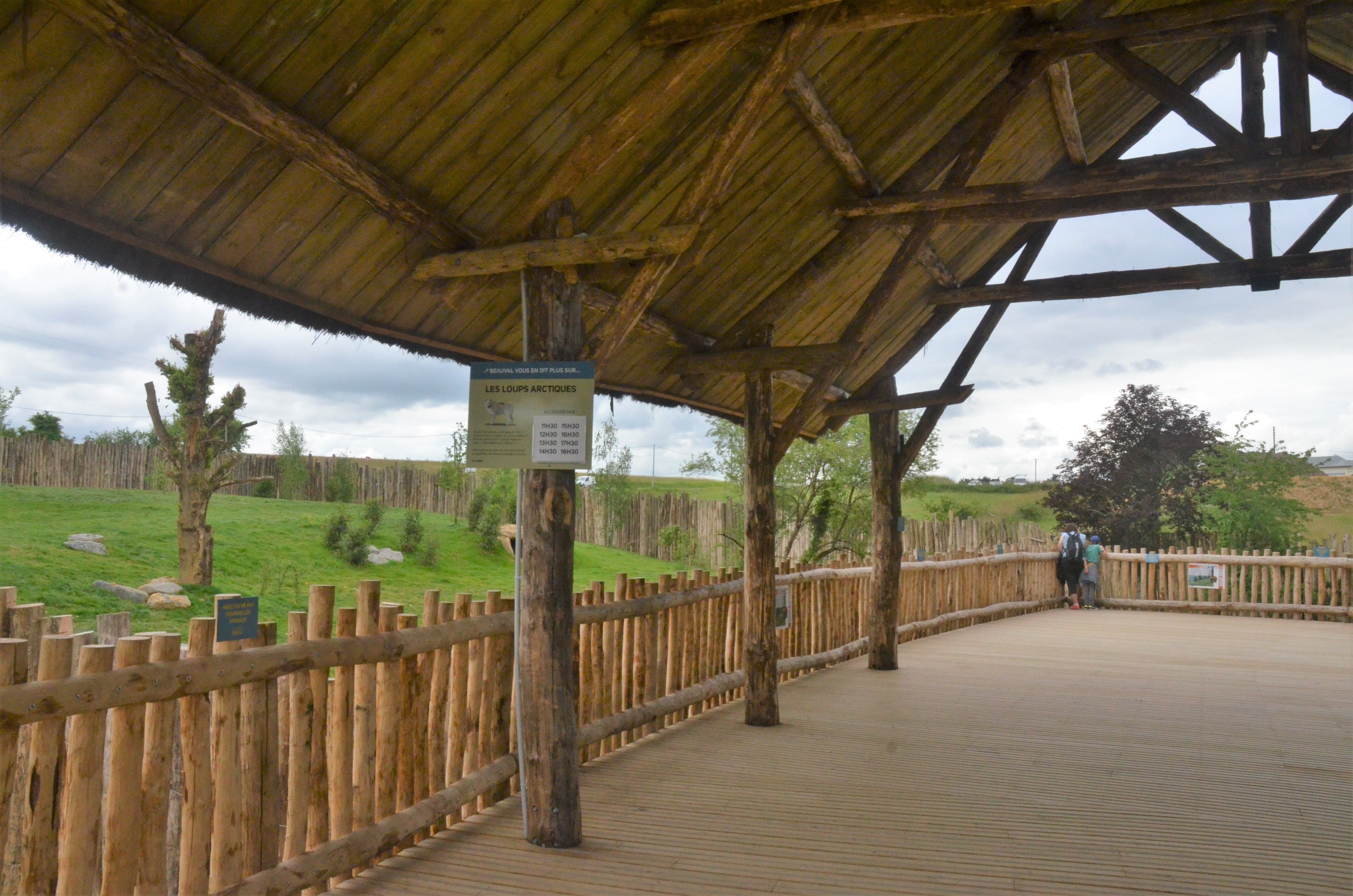 Bear and Wolf Viewing Area at Beauval, 12/06/18