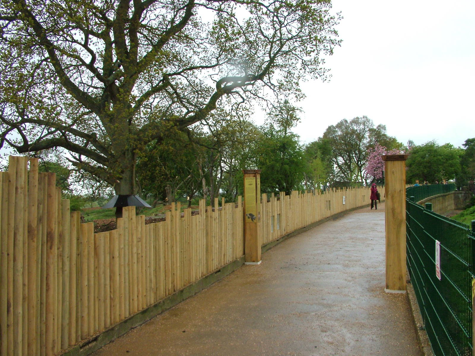 Bear and Wolverine viewing at Whipsnade 08/05/10