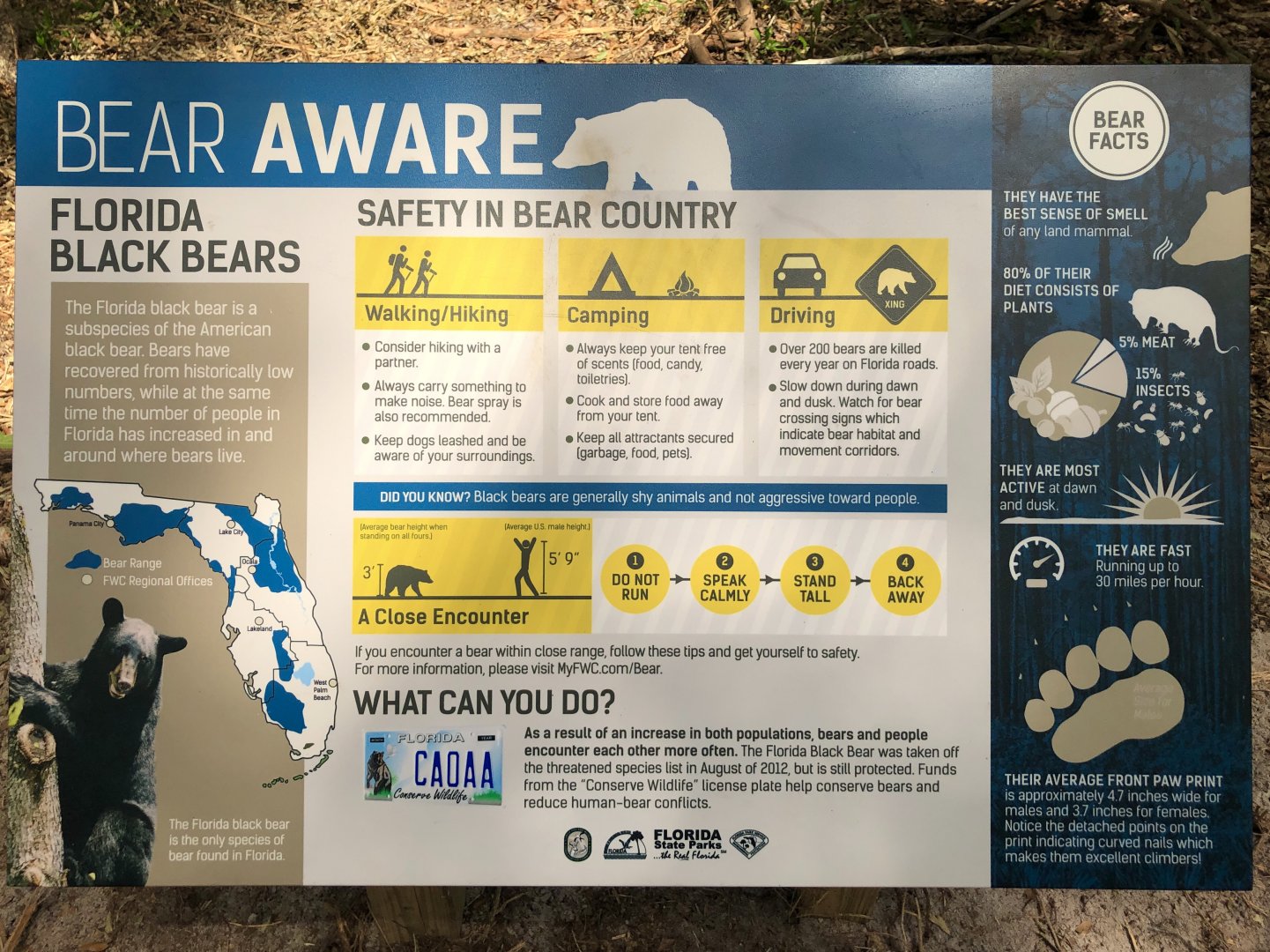 Bear Aware Sign