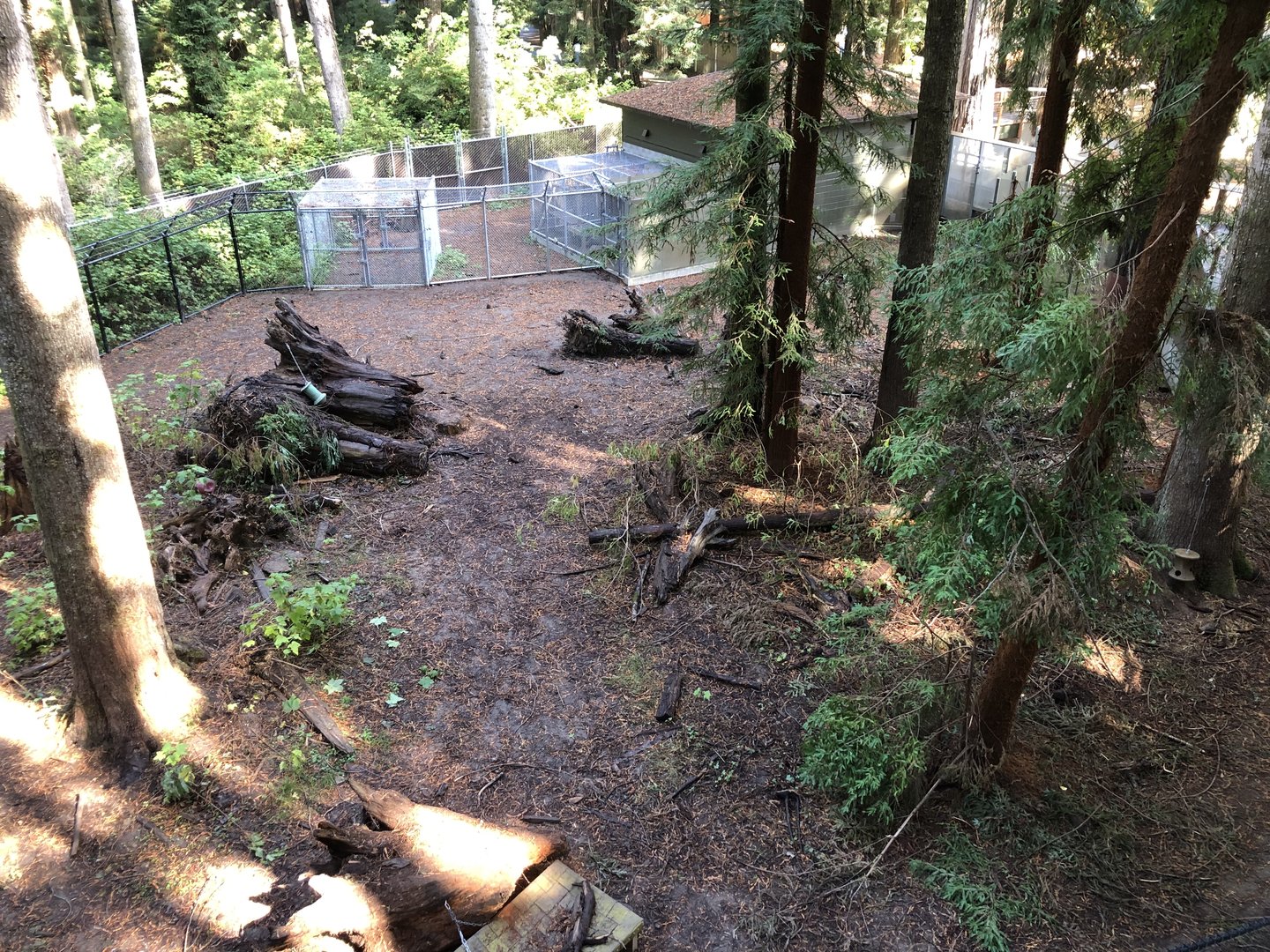 "Bear Backyard" -- Second, smaller black bear exhibit