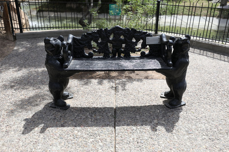 bear bench