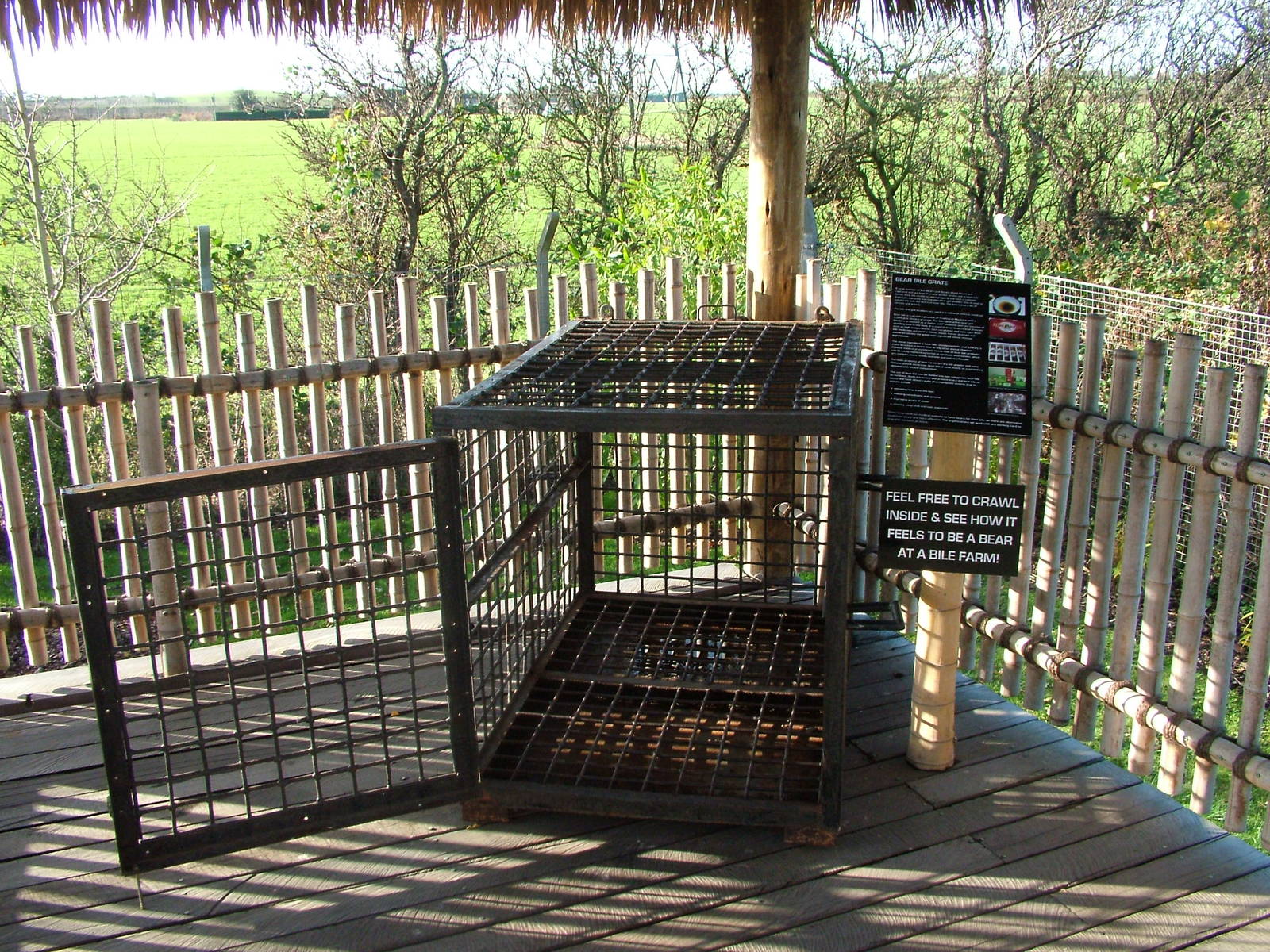 Bear Bile Farm cage at the RSCC 28/11/09