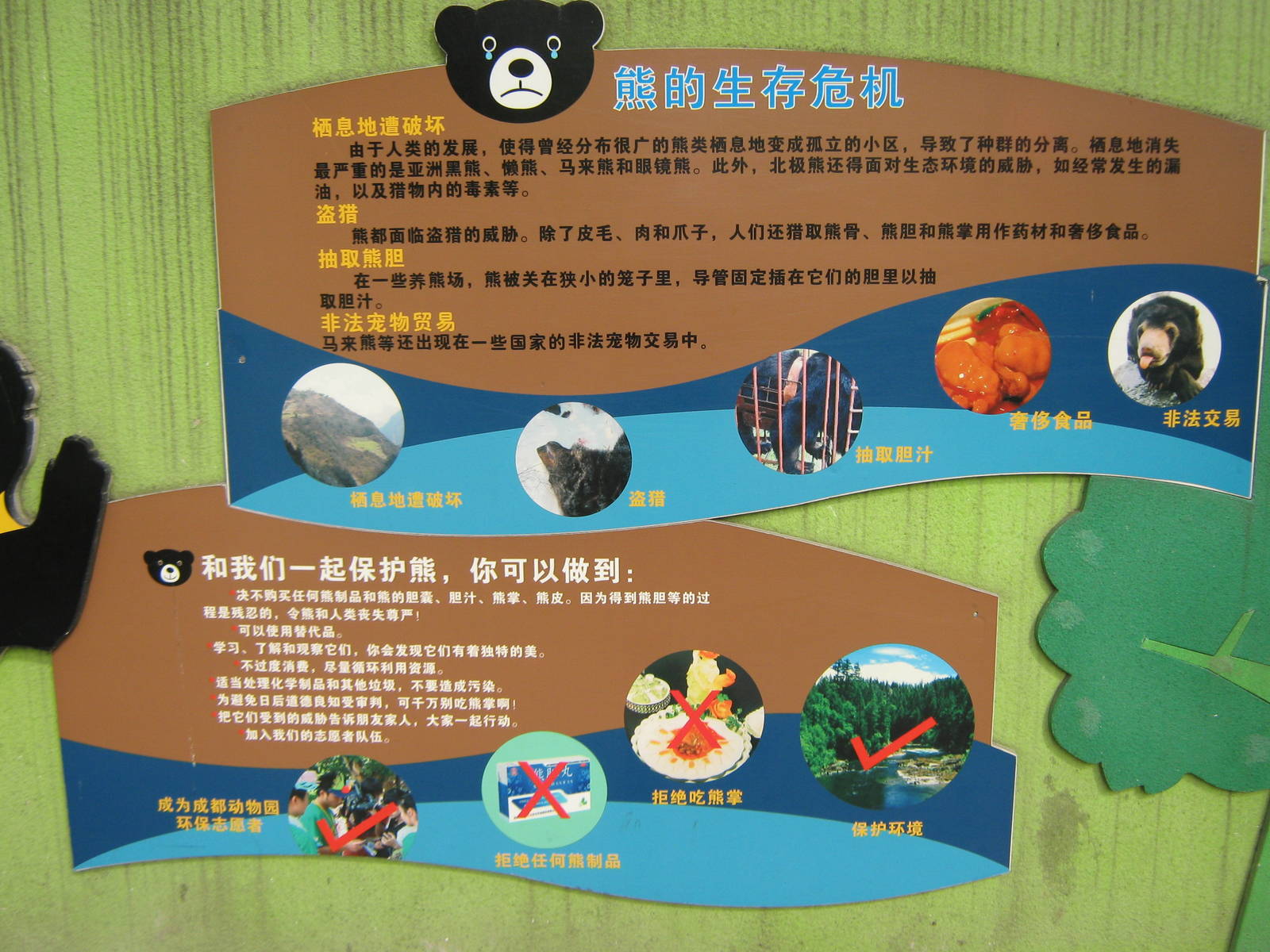 bear bile signage