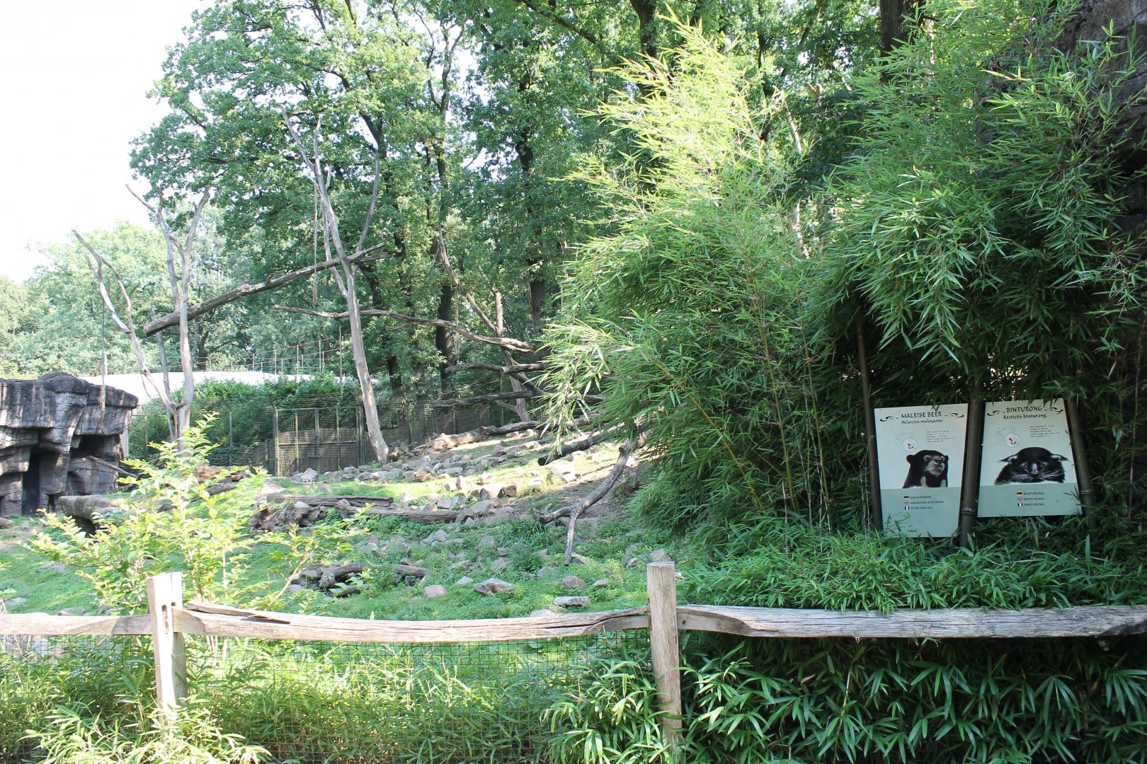 Bear - Binturong Enclosure