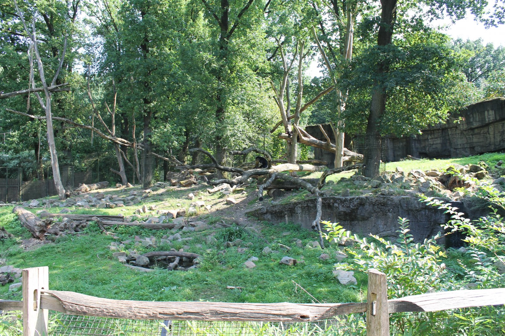 Bear - Binturong Enclosure